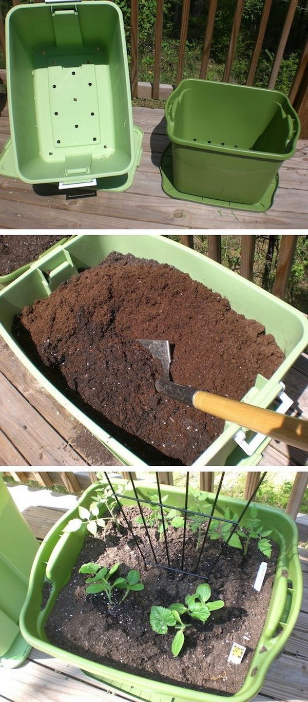 Rubbermaid Container Gardening