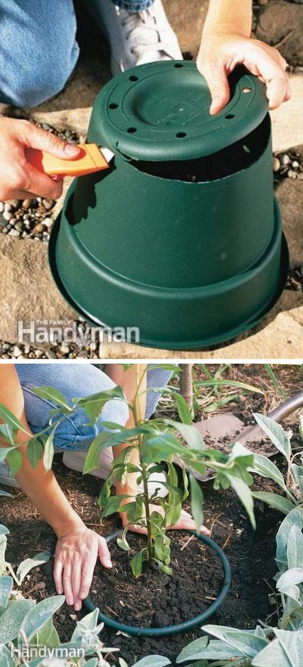 Prevent Invasive Plants from Spreading Using a Plastic Pot
