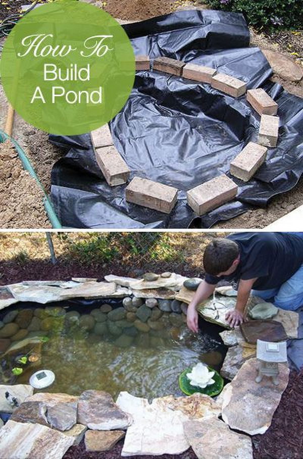 Create a Free Form Backyard Pond Easily, Cheaply and Beautifully