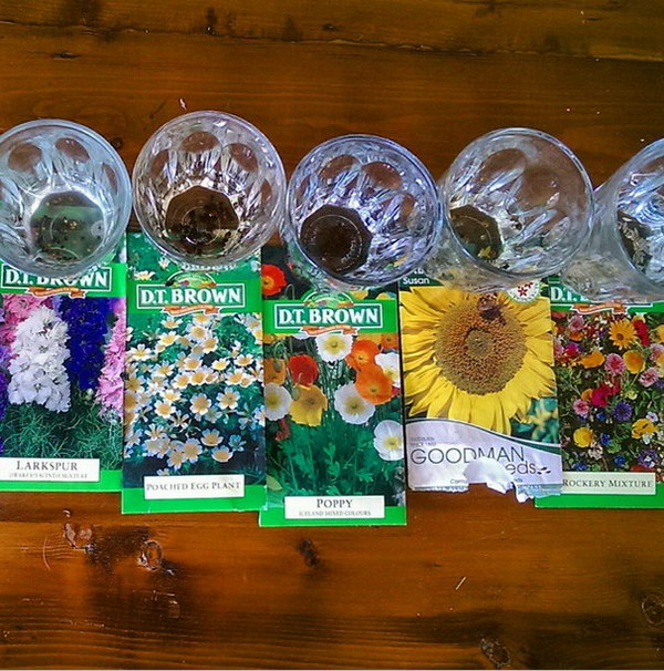 Soak Your Seeds in Warm Water 24 Hours before Sowing