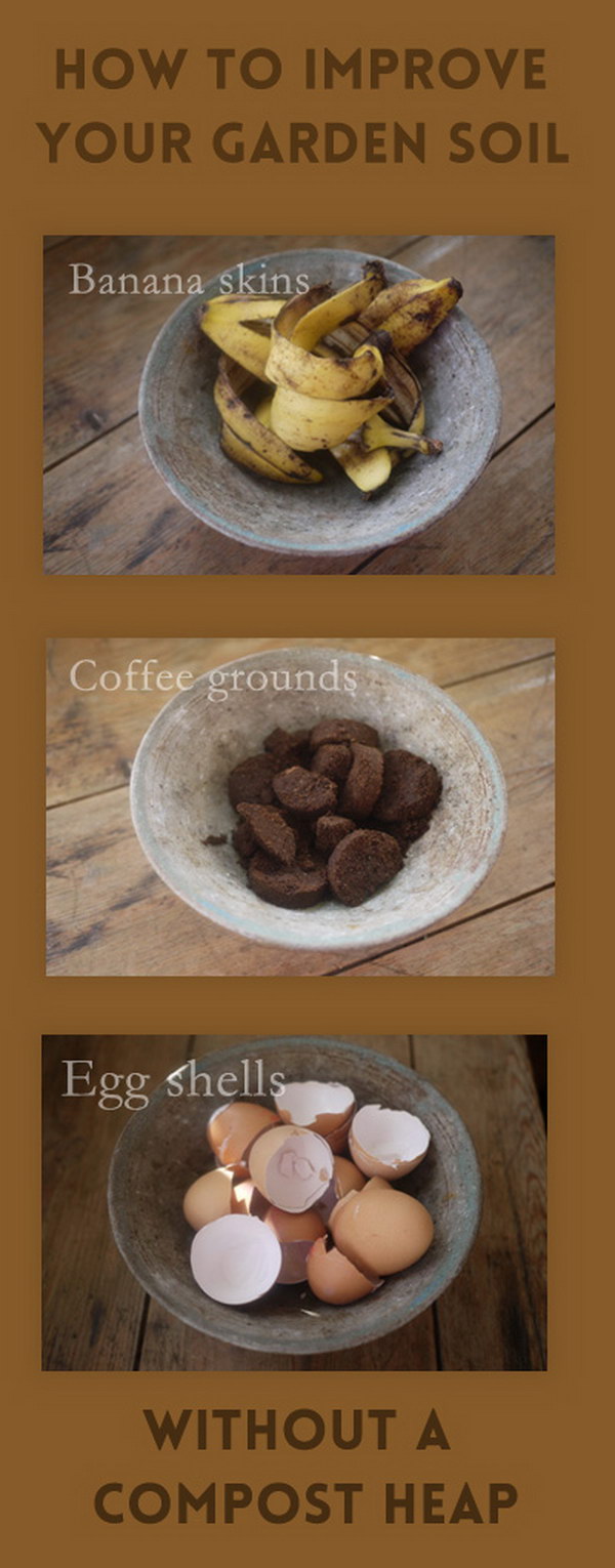 Improve Your Garden Soil Using Recycled Kitchen Waste