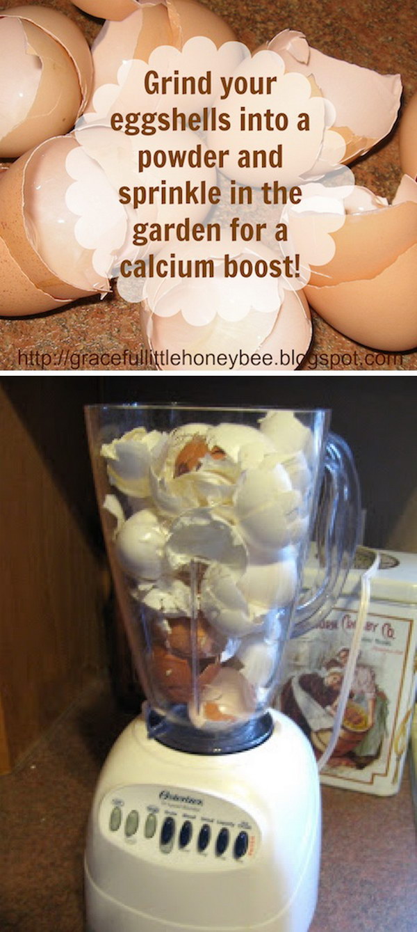 Grinding Eggshells Makes it Easier for Your Garden to Absorb the Calcium