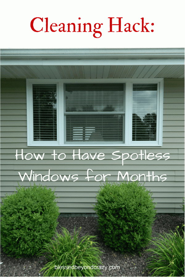 How to Have Spotless Windows for Months.