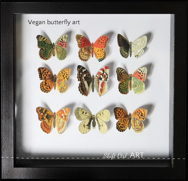 Vegan Butterfly Framed Art.
