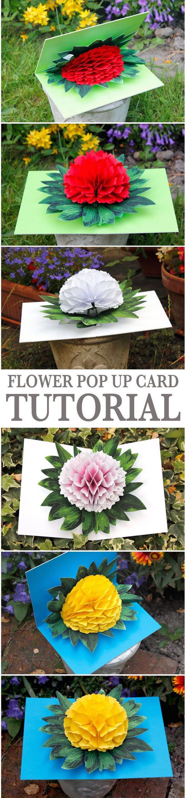 Flower Pop up Card.