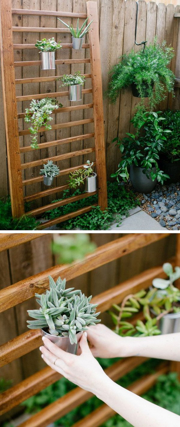 Creative Indoor And Outdoor Succulent Garden Ideas 2017