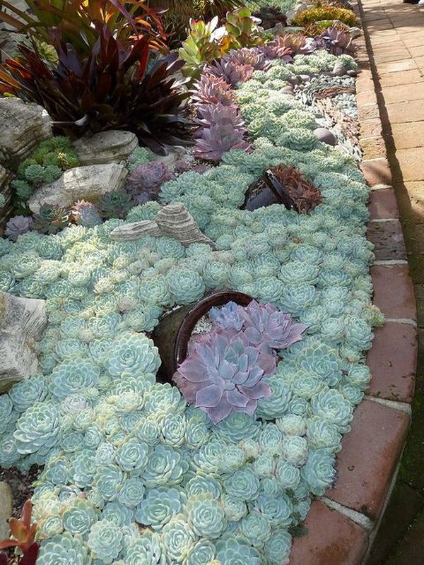 Creative Indoor And Outdoor Succulent Garden Ideas 2017