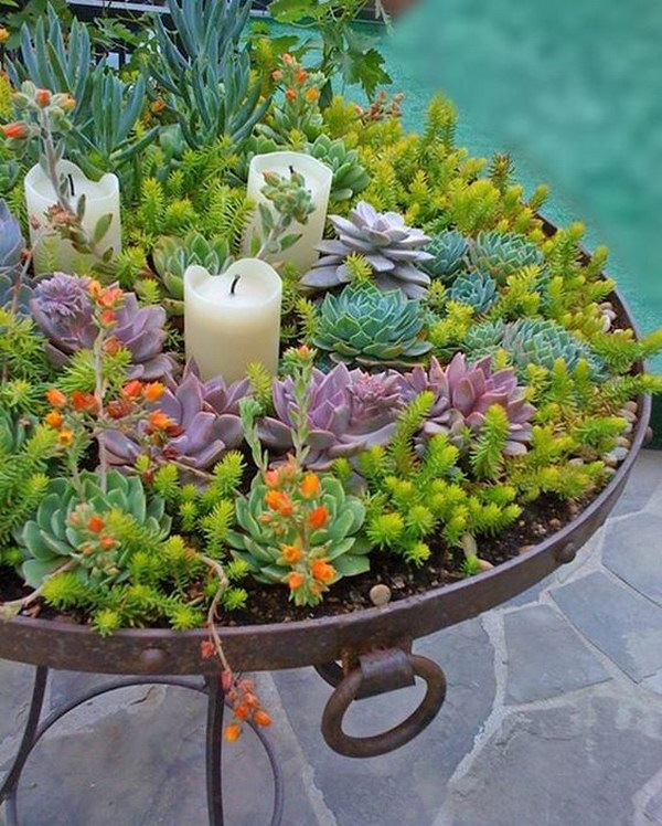 Creative Indoor And Outdoor Succulent Garden Ideas 2017