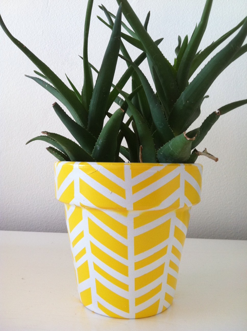 DIY Herringbone Flower Pots