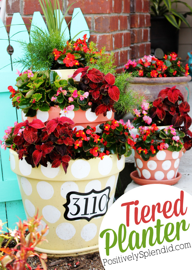 DIY Polka Dotted Tiered Planters