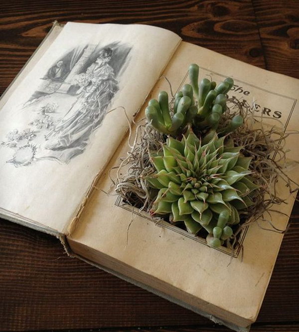 DIY Vintage Book Planter 