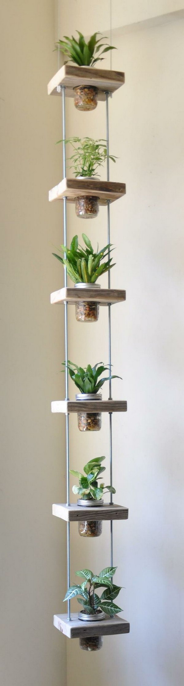 Vertical Indoor Garden