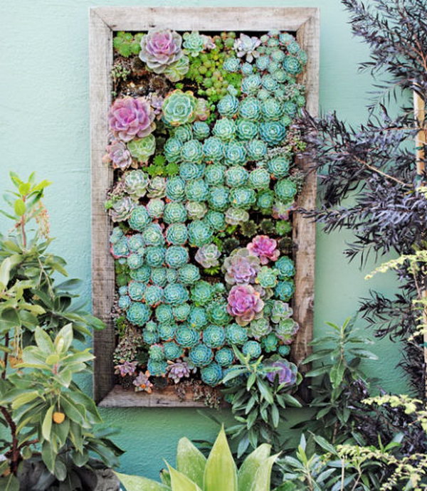 30+ Cool Indoor and Outdoor Vertical Garden Ideas 2017