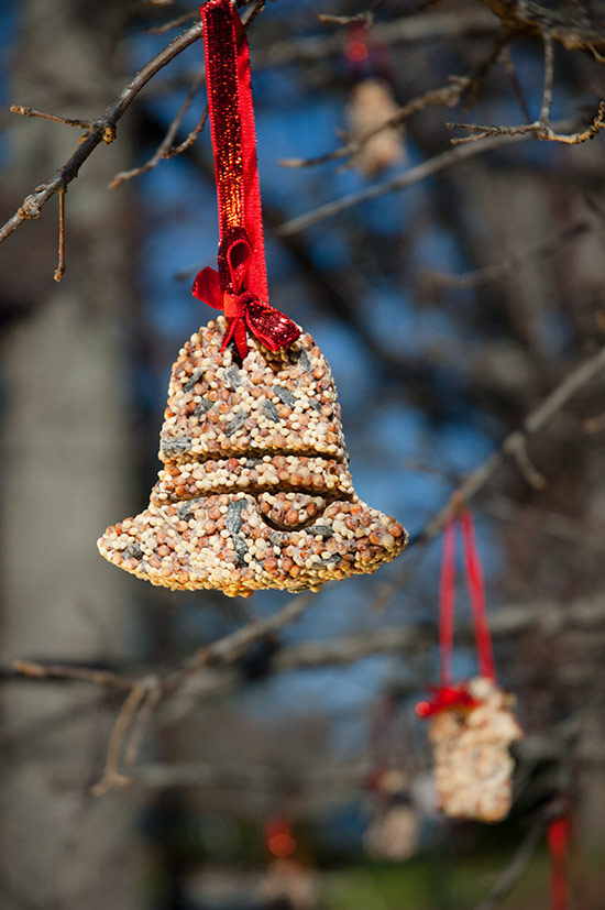 DIY Birdseed Christmas Ornaments.