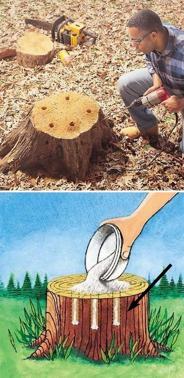 Tree Stump Removal.