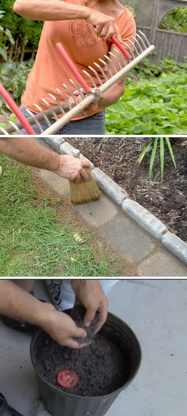 Great Ideas That Every Gardening Lover Should Know. 