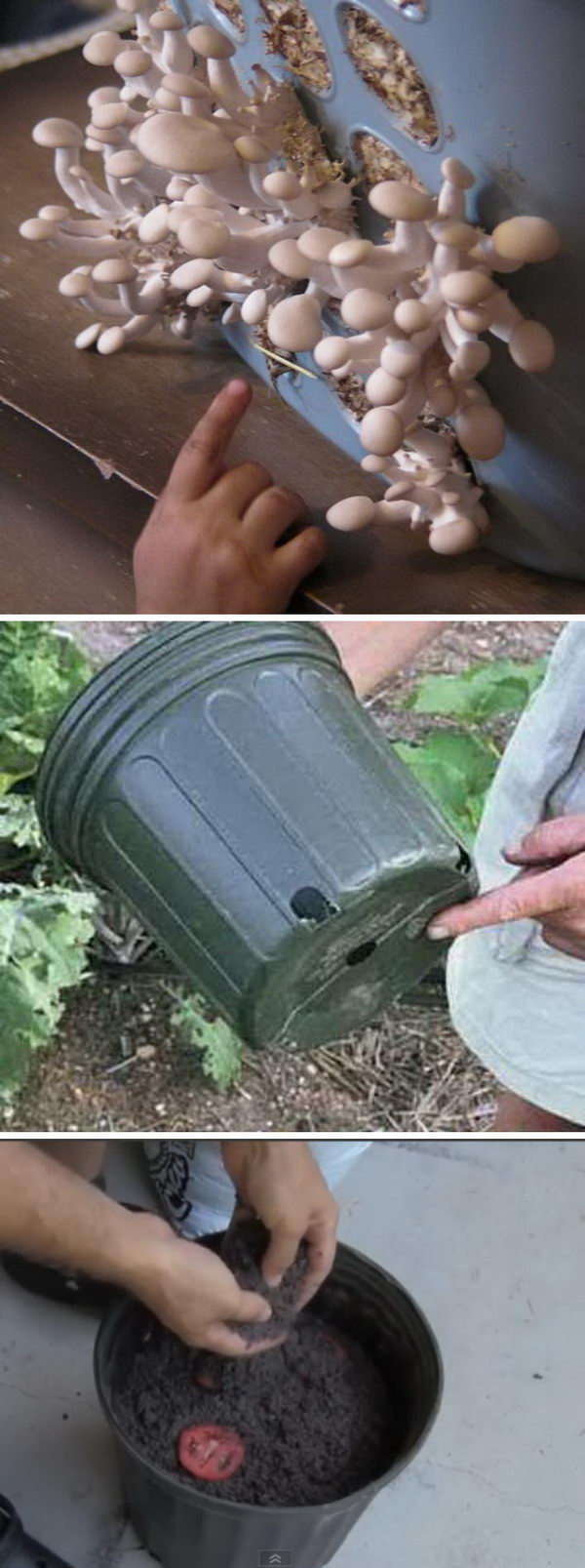 Great Ideas That Every Gardening Lover Should Know. 