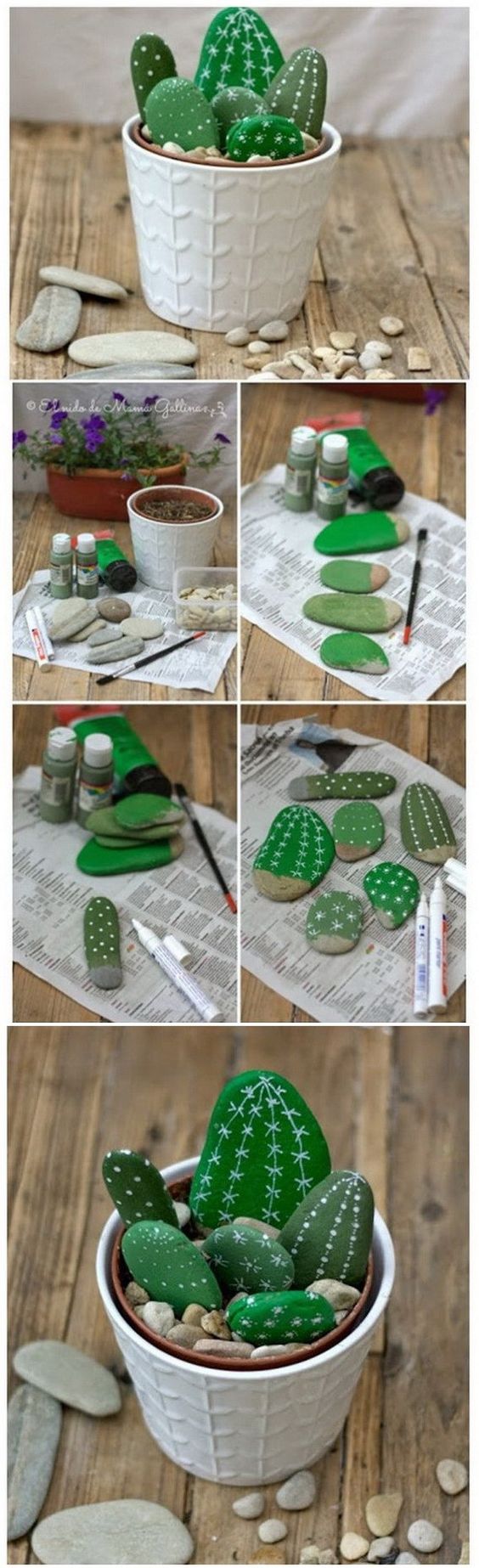 Painted Cactus Rocks.