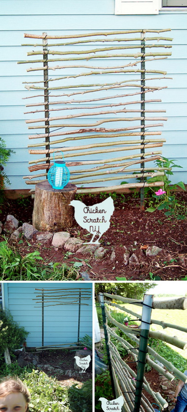 DIY T Post Trellis Using Branches and Zip Ties.