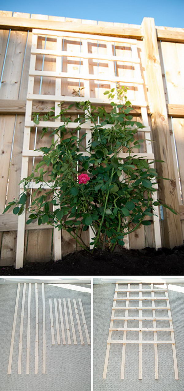 $6 DIY Garden Trellis.