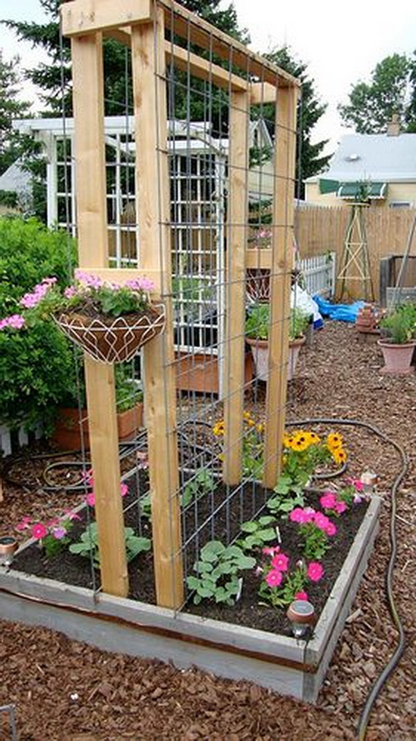 DIY Cattle Panel Arch Trellis.