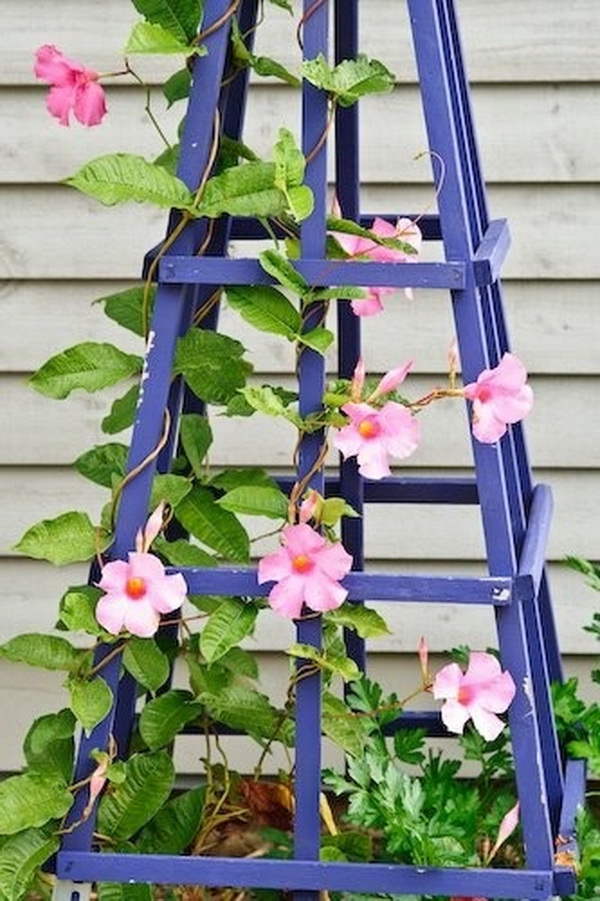 DIY Blue Obelisk Trellis.