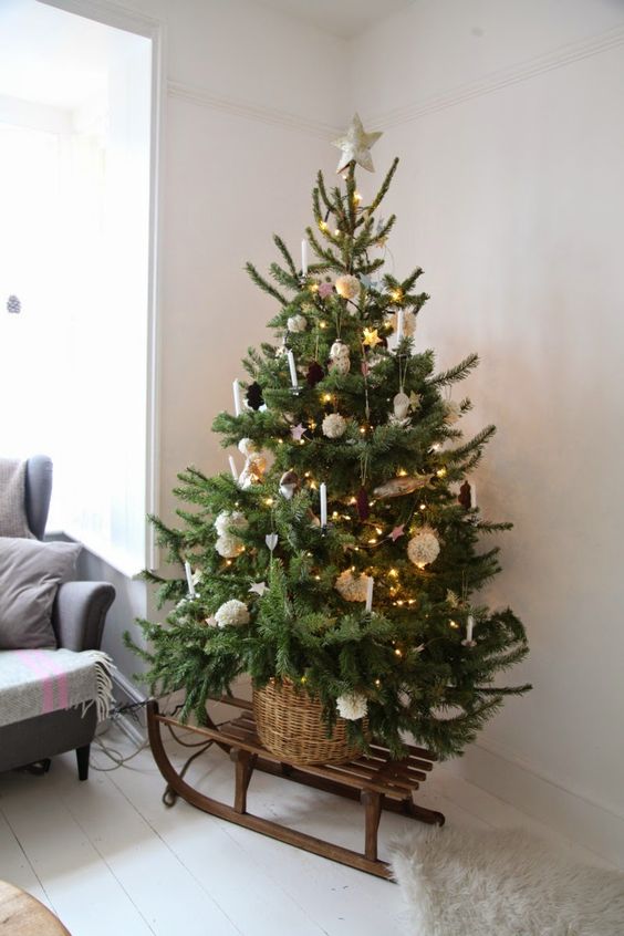 Christmas Tree On A Sleigh.