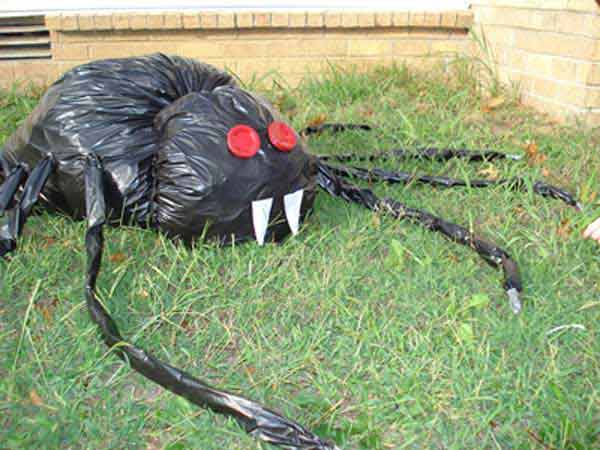 Trash Bag Spider.