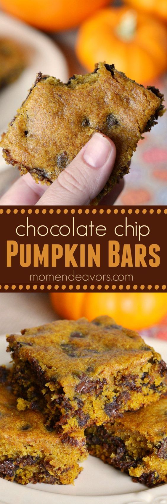 Delicious Pumpkin Chocolate Chip Bars.