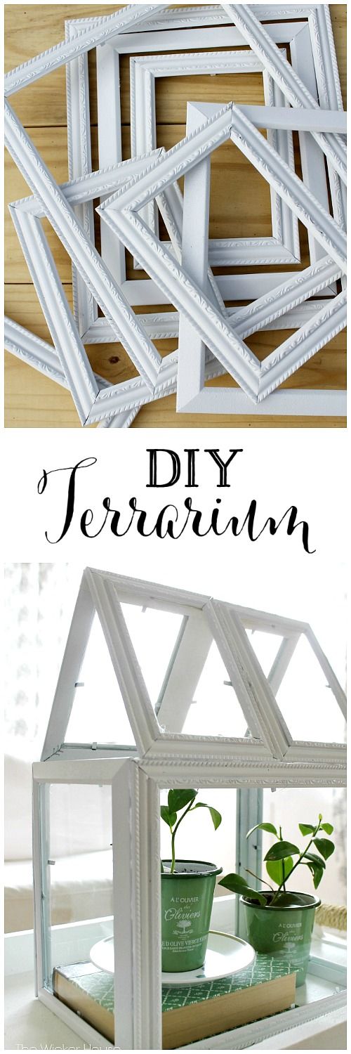 DIY Terrarium Made From Dollar Store Frames.
