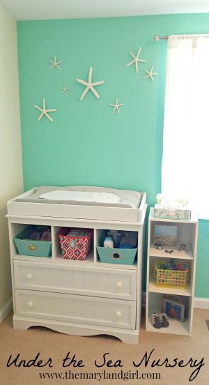 Real Starfish Decor On The Wall.