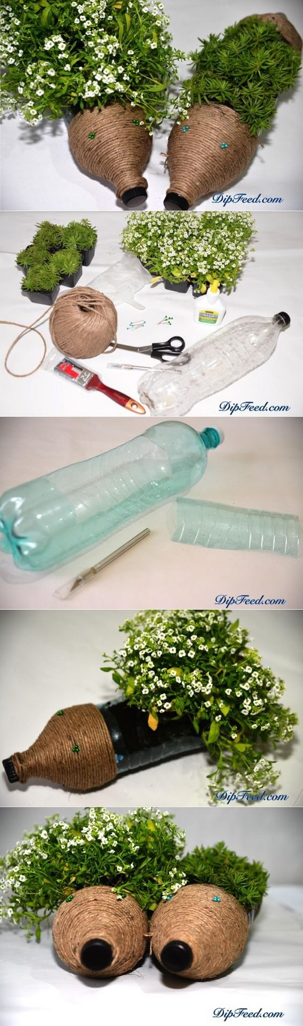 Cute Hedgehog Planters from Plastic Bottles.