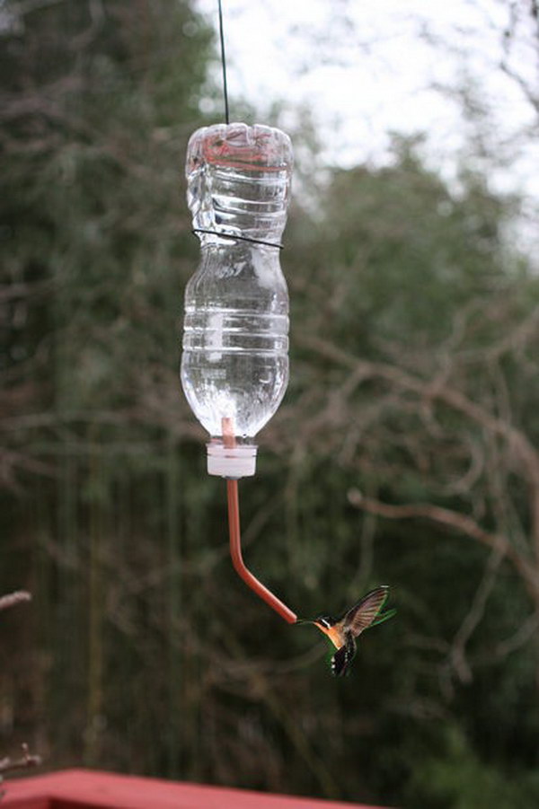 Platic Bottle Recycled Hummingbirds Feeder.