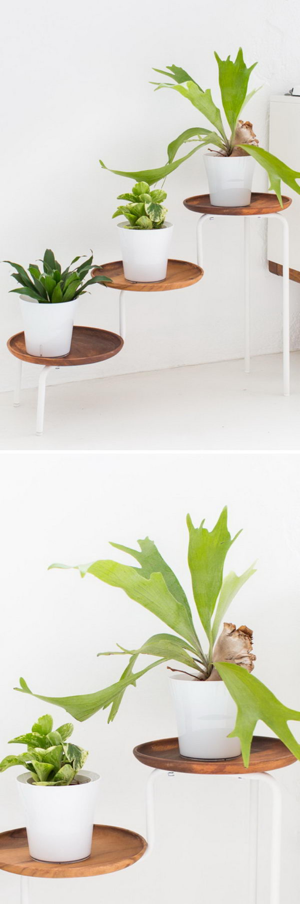 DIY Acacia Wood Plant Stand. 