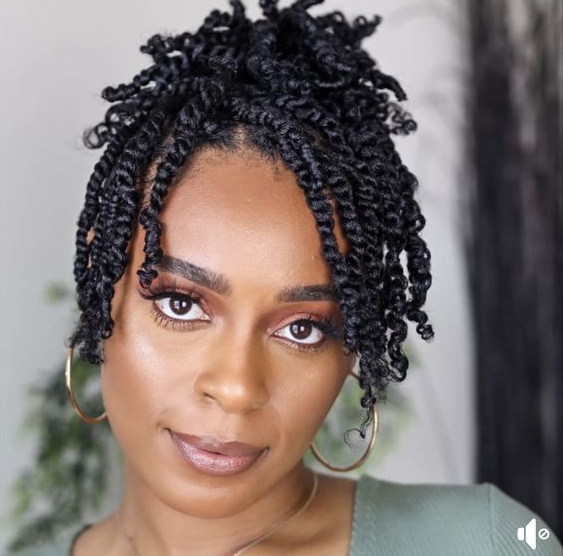 Tangled Beauty: Unleashing the Power of Two Strand Twists for Women and ...