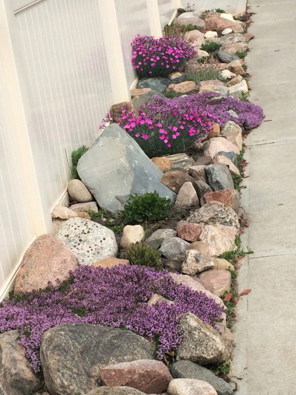 Rock Garden Perfect for Your Side Yard.