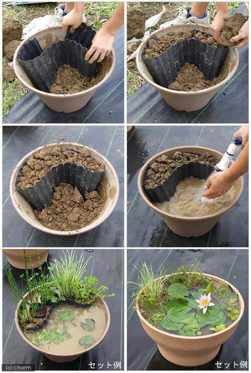 How to Set up Mini Water Gardens on Your Deck.