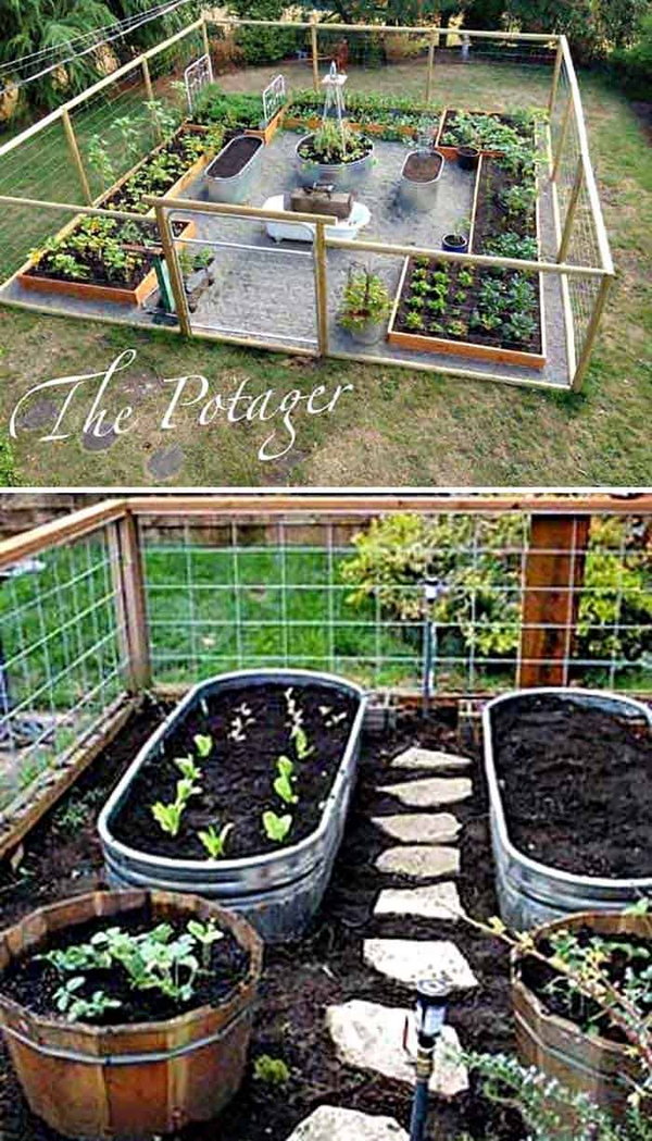 Growing A Vegetable Garden In Your Backyard.