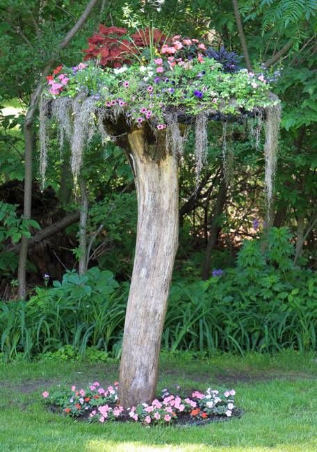Impressive Stumpery Garden.