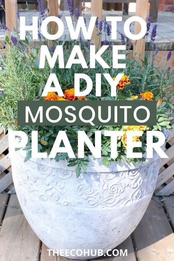 DIY Mosquito Repellent Planter.